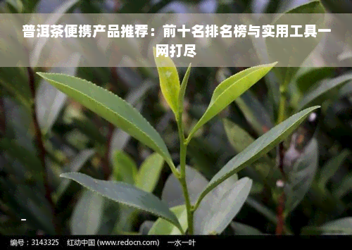 普洱茶便携产品推荐：前十名排名榜与实用工具一网打尽