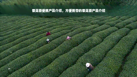 普洱茶便携产品介绍，方便携带的普洱茶产品介绍