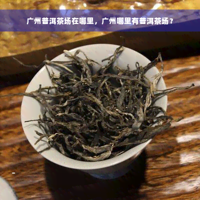 广州普洱茶场在哪里，广州哪里有普洱茶场？