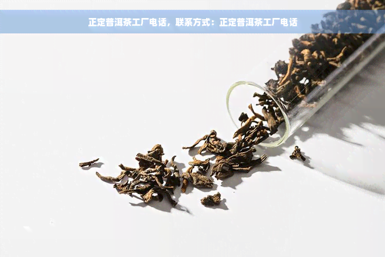 正定普洱茶工厂电话，联系方式：正定普洱茶工厂电话