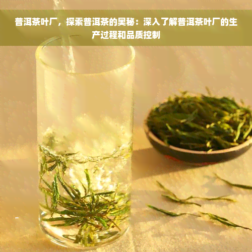 普洱茶叶厂，探索普洱茶的奥秘：深入了解普洱茶叶厂的生产过程和品质控制