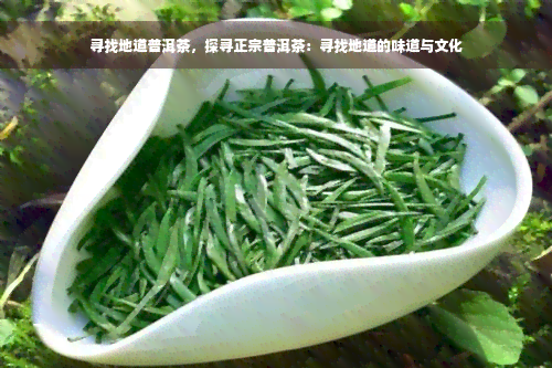 寻找地道普洱茶，探寻正宗普洱茶：寻找地道的味道与文化