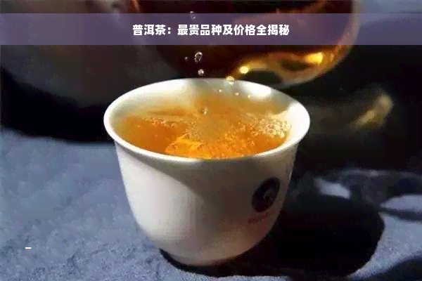 普洱茶：最贵品种及价格全揭秘