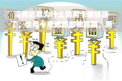 没有逾期为什么信用卡被核销了，信用卡未逾期却被核销，原因何在？