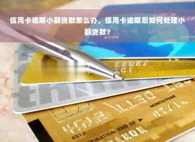 信用卡逾期小额贷款怎么办，信用卡逾期后如何处理小额贷款？