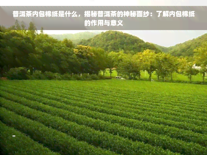 普洱茶内包棉纸是什么，揭秘普洱茶的神秘面纱：了解内包棉纸的作用与意义