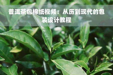 普洱茶包棉纸视频：从历到现代的包装设计教程