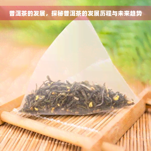 普洱茶的发展，探秘普洱茶的发展历程与未来趋势