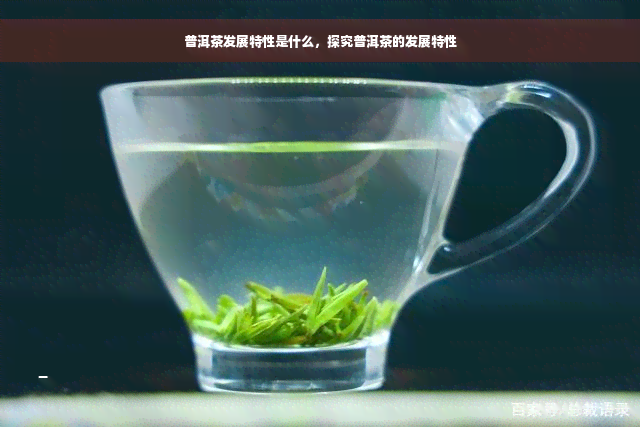 普洱茶发展特性是什么，探究普洱茶的发展特性