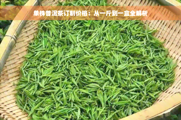 单株普洱茶订制价格：从一斤到一盒全解析