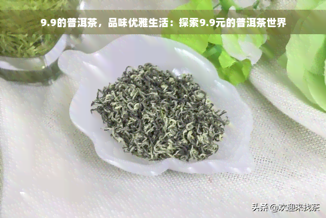 9.9的普洱茶，品味优雅生活：探索9.9元的普洱茶世界