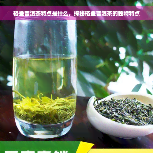 格登普洱茶特点是什么，探秘格登普洱茶的独特特点