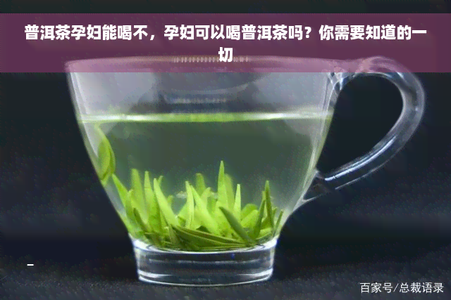 普洱茶孕妇能喝不，孕妇可以喝普洱茶吗？你需要知道的一切