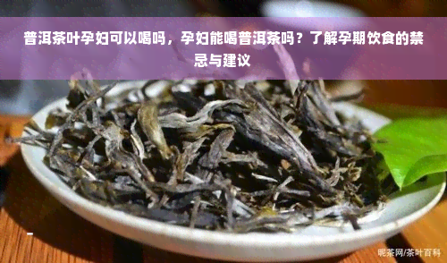 普洱茶叶孕妇可以喝吗，孕妇能喝普洱茶吗？了解孕期饮食的禁忌与建议