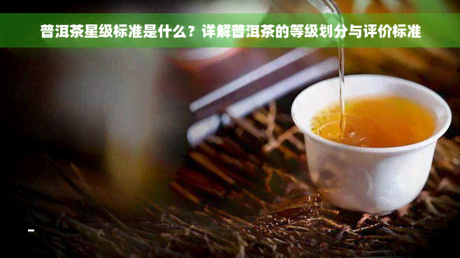 普洱茶星级标准是什么？详解普洱茶的等级划分与评价标准