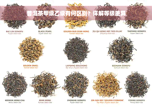 普洱茶甲级乙级有何区别？详解等级差异