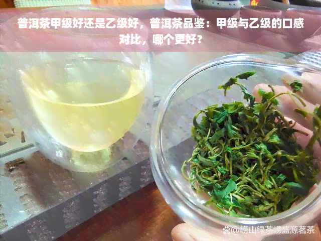 普洱茶甲级好还是乙级好，普洱茶品鉴：甲级与乙级的口感对比，哪个更好？