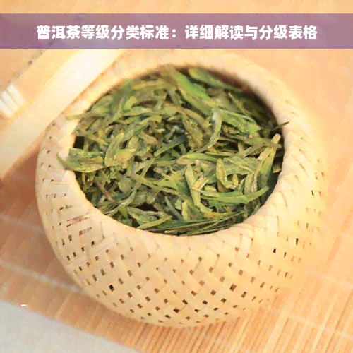 普洱茶等级分类标准：详细解读与分级表格