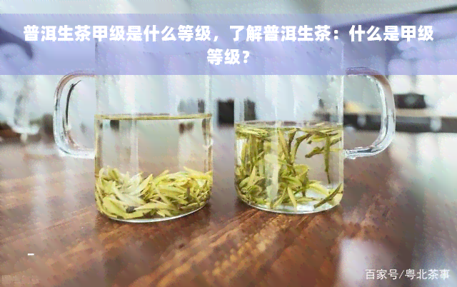 普洱生茶甲级是什么等级，了解普洱生茶：什么是甲级等级？