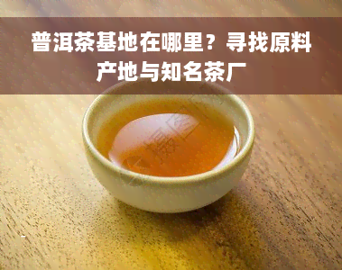 普洱茶基地在哪里？寻找原料产地与知名茶厂