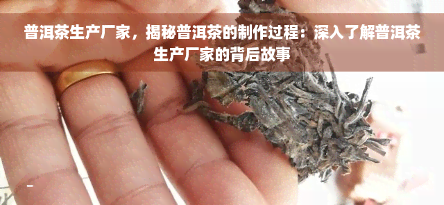 普洱茶生产厂家，揭秘普洱茶的制作过程：深入了解普洱茶生产厂家的背后故事