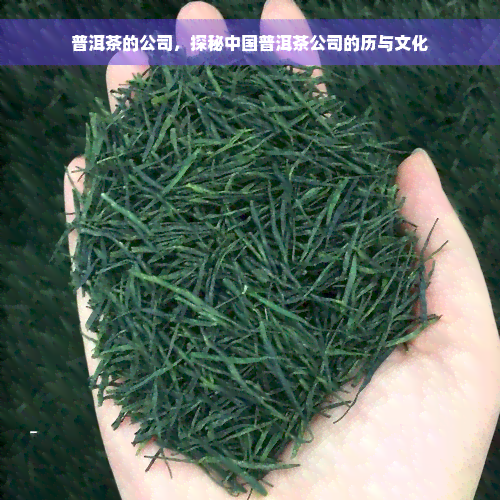 普洱茶的公司，探秘中国普洱茶公司的历与文化