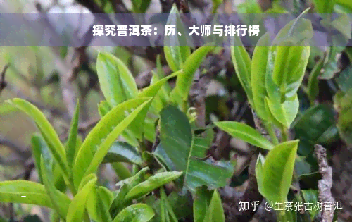 探究普洱茶：历、大师与排行榜