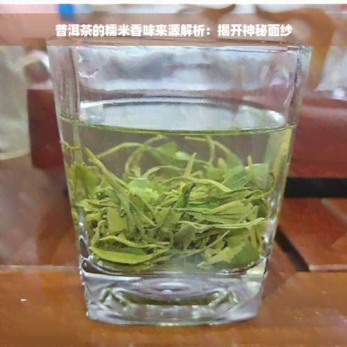 普洱茶的糯米香味来源解析：揭开神秘面纱