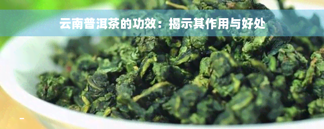 云南普洱茶的功效：揭示其作用与好处