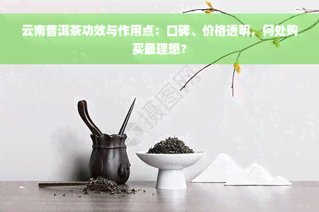 云南普洱茶功效与作用点：口碑、价格透明，何处购买最理想？