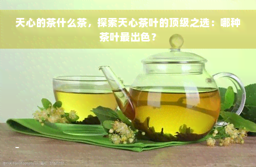 天心的茶什么茶，探索天心茶叶的顶级之选：哪种茶叶最出色？