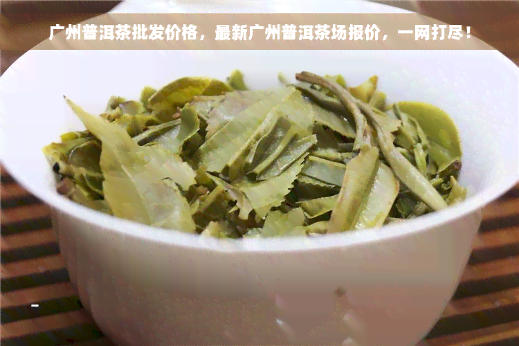 广州普洱茶批发价格，最新广州普洱茶场报价，一网打尽！