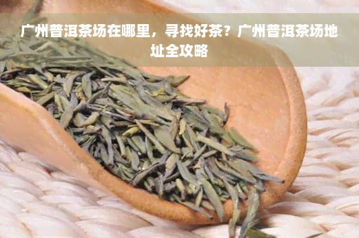 广州普洱茶场在哪里，寻找好茶？广州普洱茶场地址全攻略