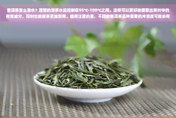 普洱茶怎么泡水？理想的泡茶水应控制在95℃-100℃之间。这样可以更好地提取出茶叶中的有效成分，同时也能使茶更加醇厚。值得注意的是，不同的普洱茶品种需要的冲泡度可能会有所不同，因此根据具体情况进行调整。