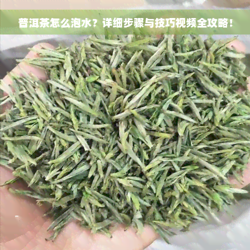 普洱茶怎么泡水？详细步骤与技巧视频全攻略！