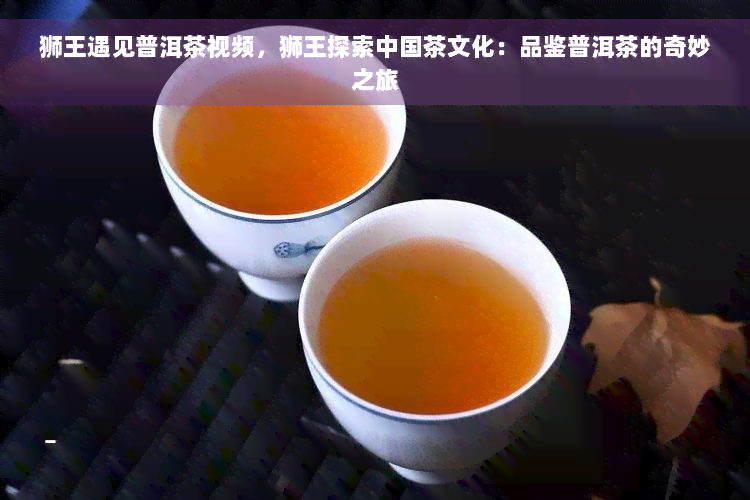 狮王遇见普洱茶视频，狮王探索中国茶文化：品鉴普洱茶的奇妙之旅