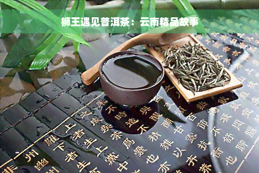 狮王遇见普洱茶：云南精品故事