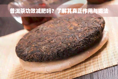 普洱茶功效减肥吗？了解其真正作用与喝法