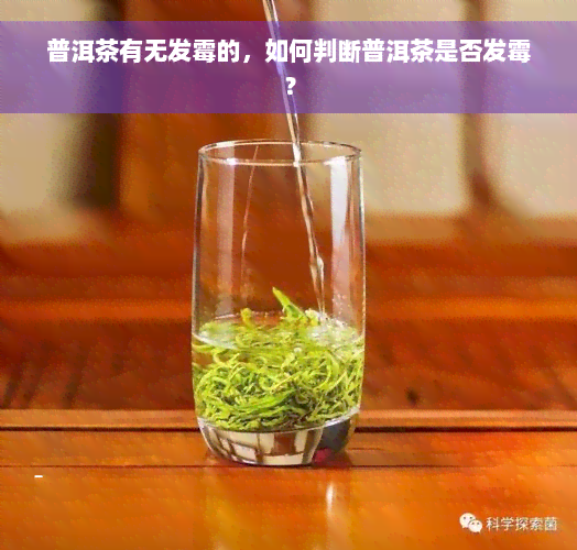 普洱茶有无发霉的，如何判断普洱茶是否发霉？