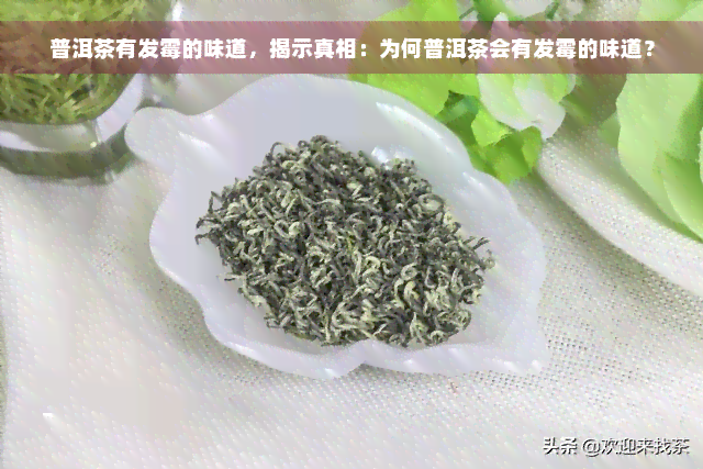 普洱茶有发霉的味道，揭示真相：为何普洱茶会有发霉的味道？