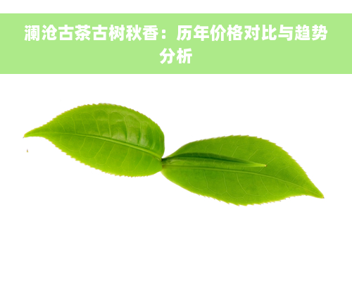 澜沧古茶古树秋香：历年价格对比与趋势分析