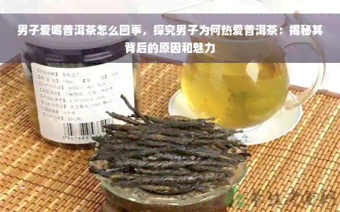 男子爱喝普洱茶怎么回事，探究男子为何热爱普洱茶：揭秘其背后的原因和魅力