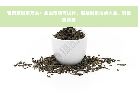 普洱茶促销方案：全面策划与设计，包括促销活动大全、销售策略等