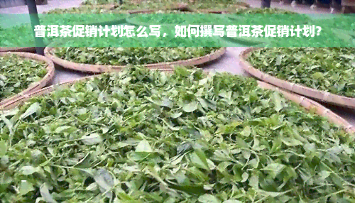 普洱茶促销计划怎么写，如何撰写普洱茶促销计划？