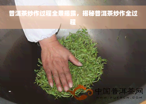 普洱茶炒作过程全景揭露，揭秘普洱茶炒作全过程