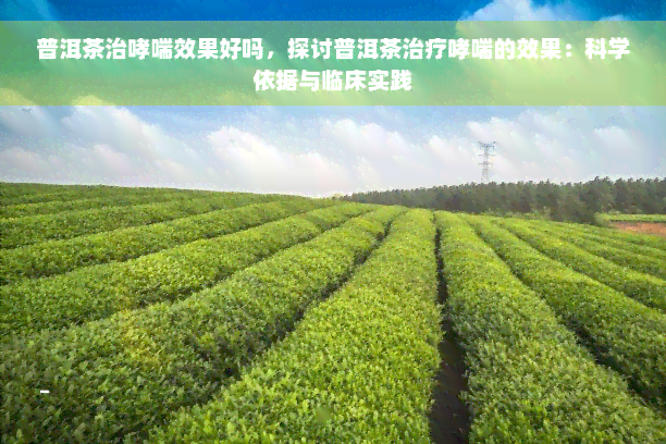 普洱茶治哮喘效果好吗，探讨普洱茶治疗哮喘的效果：科学依据与临床实践