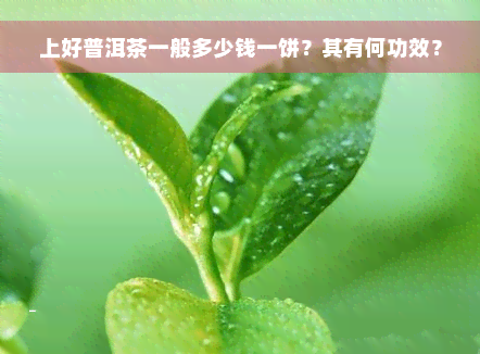 上好普洱茶一般多少钱一饼？其有何功效？