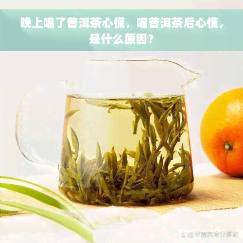 晚上喝了普洱茶心慌，喝普洱茶后心慌，是什么原因？