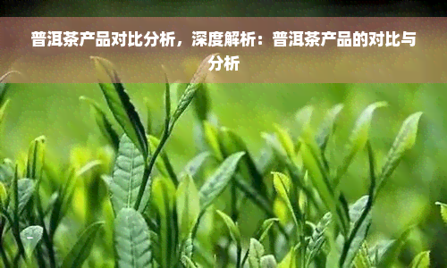 普洱茶产品对比分析，深度解析：普洱茶产品的对比与分析