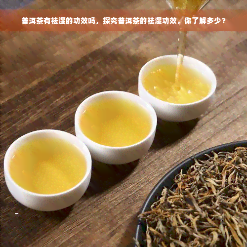 普洱茶有祛湿的功效吗，探究普洱茶的祛湿功效，你了解多少？